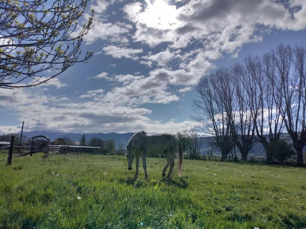 Ca L'Andreu Βίλα Ventola Εξωτερικό φωτογραφία