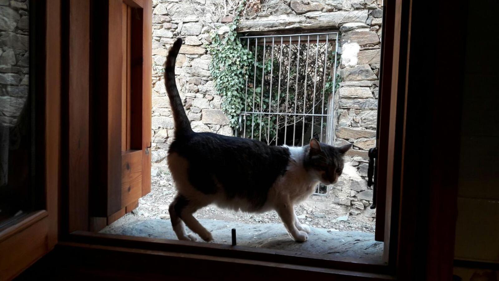 Ca L'Andreu Βίλα Ventola Εξωτερικό φωτογραφία